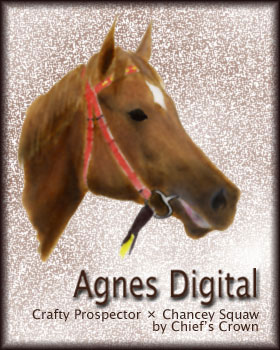 Agnes Digital